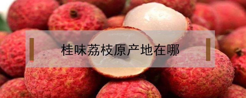 桂味荔枝原产地在哪（桂味荔枝哪里产的好吃）