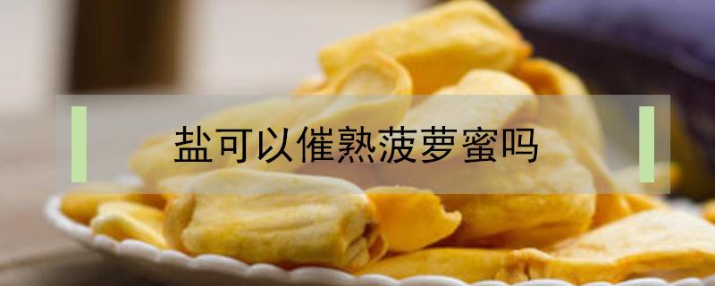 盐可以催熟菠萝蜜吗(菠萝蜜盐巴催熟)