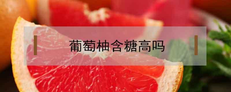 葡萄柚含糖高吗（葡萄柚含糖分高吗）