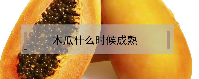 木瓜什么时候成熟 野生木瓜什么时候成熟