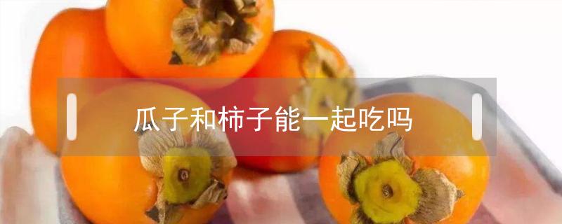 瓜子和柿子能一起吃吗(柿子可以跟瓜子一起吃吗)