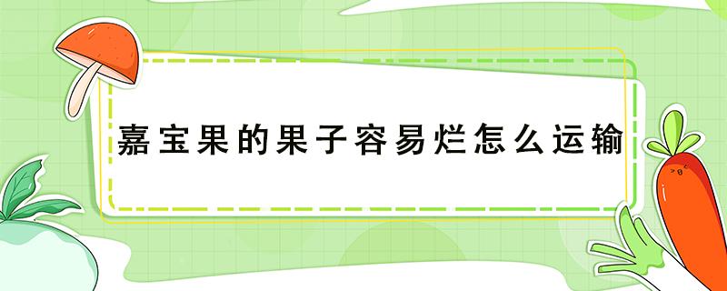 嘉宝果的果子容易烂怎么运输 嘉宝果要怎样种才能结果