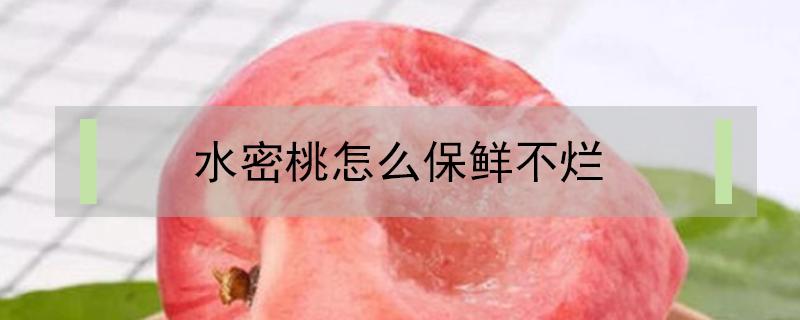 水密桃怎么保鲜不烂（水蜜桃怎么样保鲜）