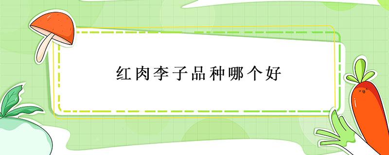 红肉李子品种哪个好 红皮黄肉的李子是什么品种