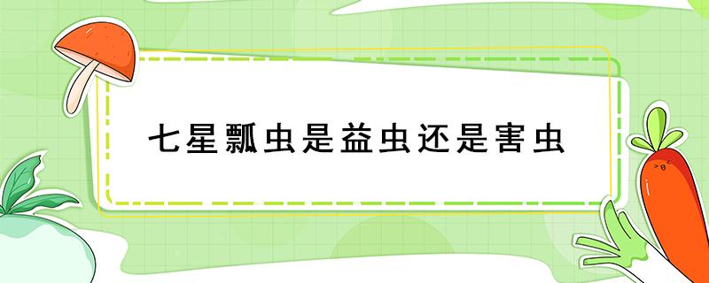 七星瓢虫是益虫还是害虫 螳螂是益虫还是害虫