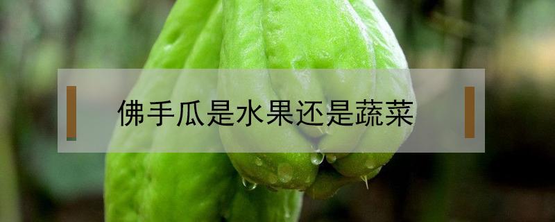 佛手瓜是水果还是蔬菜 佛手瓜类似的蔬菜