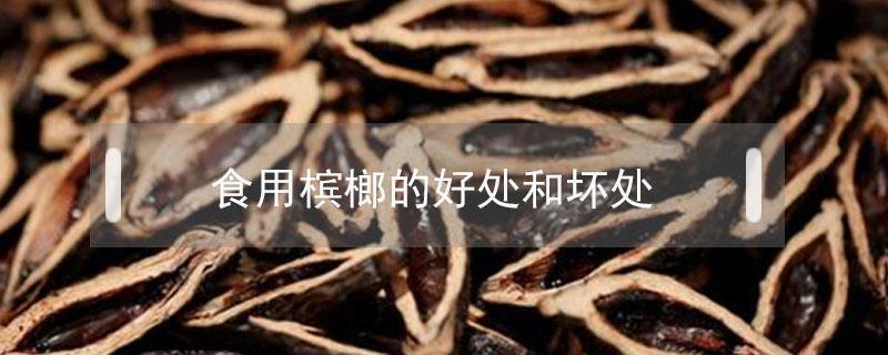 食用槟榔的好处和坏处（吃槟榔的好处和坏处）