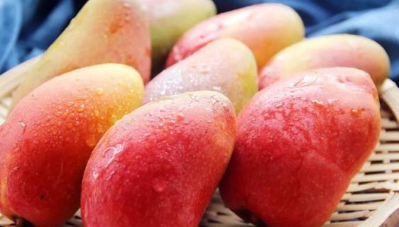 贵妃芒和小台芒的区别(贵妃芒跟小台芒)