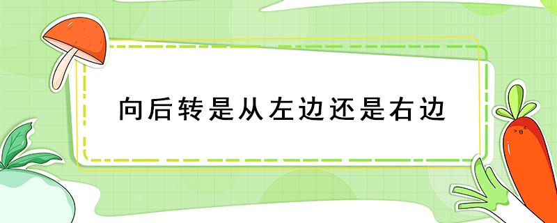 向后转是从左边还是右边 军训向后转是从左边还是右边