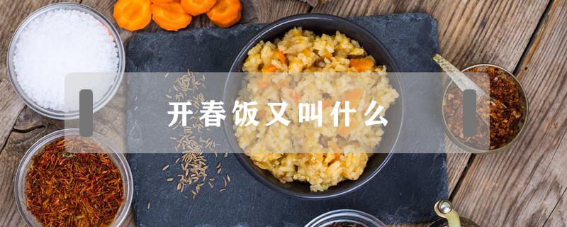 开春饭又叫什么（春节的饭叫什么）