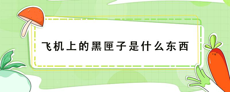 飞机上的黑匣子是什么东西 飞机上的黑匣子是什么东西,为什么不会与飞机一起损坏