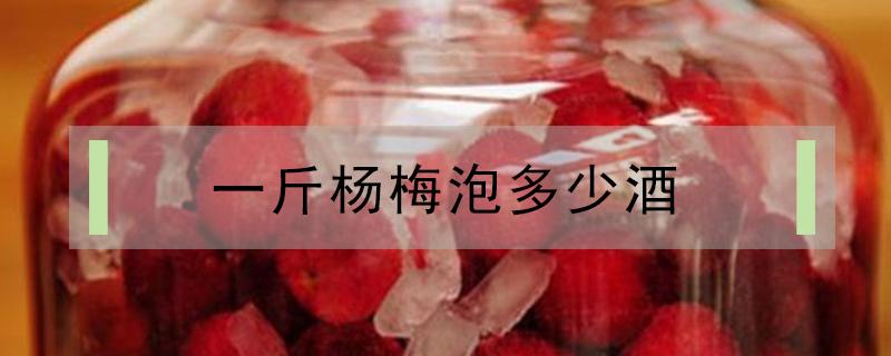 一斤杨梅泡多少酒 一斤杨梅泡几斤酒