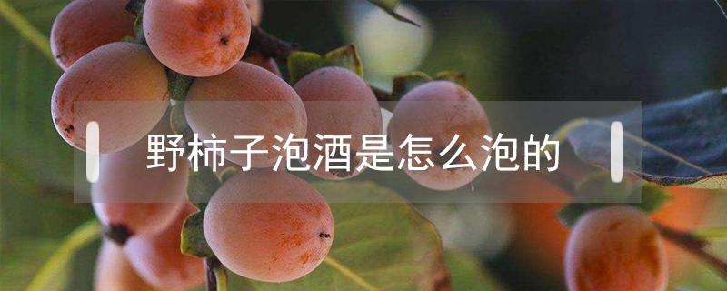 野柿子泡酒是怎么泡的（野柿子泡酒禁忌大全）