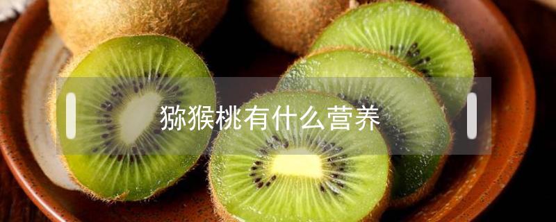 猕猴桃有什么营养（猕猴桃有什么营养成分和功效）