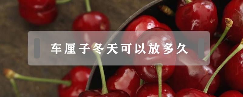 车厘子冬天可以放多久（车厘子冬天可以放多久不坏）