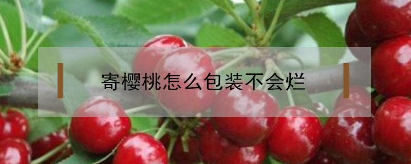 寄樱桃怎么包装不会烂 怎样寄樱桃不会烂