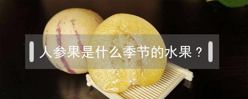 人参果是什么季节的水果?（人参果是几月份的水果）