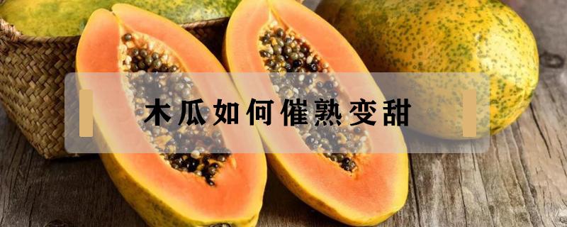 木瓜如何催熟变甜（木瓜怎样催熟更快）