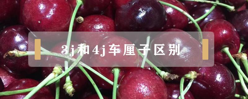 3j和4j车厘子区别（车厘子3j和4j区别大吗）