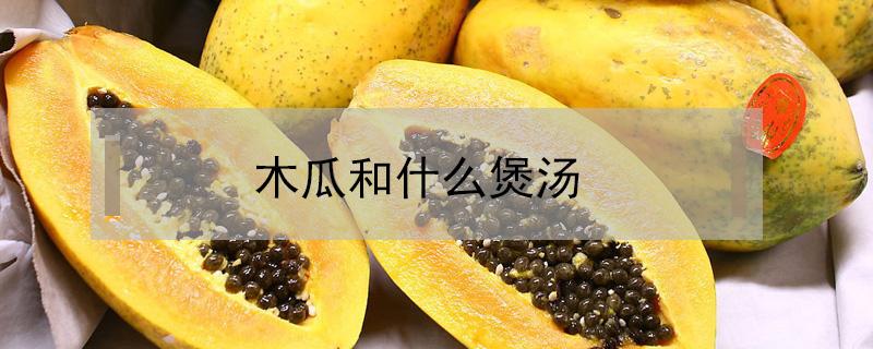 木瓜和什么煲汤 木瓜和什么煲汤最下奶