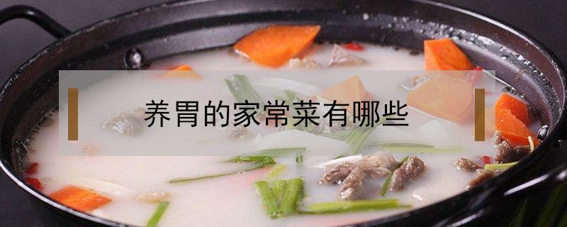 养胃的家常菜有哪些（养胃的菜品有哪些）