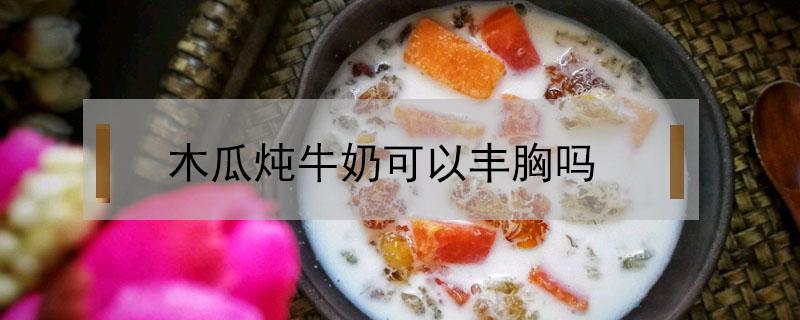 木瓜炖牛奶可以丰胸吗(长期吃木瓜炖牛奶可以丰胸吗)