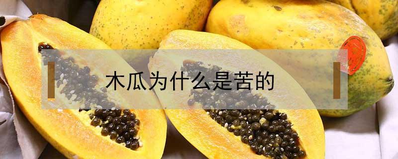 木瓜为什么是苦的（木瓜苦的可以吃吗）