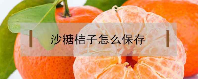 沙糖桔子怎么保存（沙糖桔如何保存）