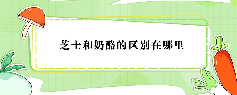 芝士和奶酪的区别在哪里（芝士和奶酪有什么区别）