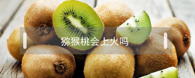 猕猴桃会上火吗（猕猴桃会上火吗吃多了）