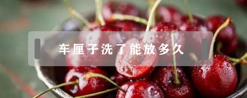 车厘子洗了能放多久（车厘子洗了能放多久冬天）