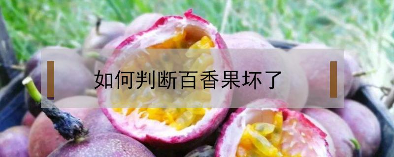 如何判断百香果坏了（如何判断百香果坏了图片）