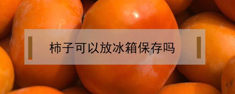 柿子可以放冰箱保存吗 柿子可以放冰箱保存吗脆