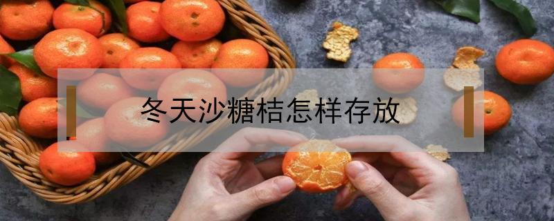 冬天沙糖桔怎样存放 沙糖桔可以放冷藏吗