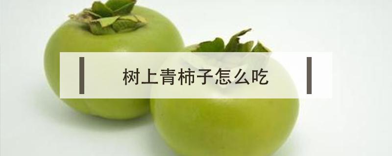 树上青柿子怎么吃 能吃的青柿子是什么品种