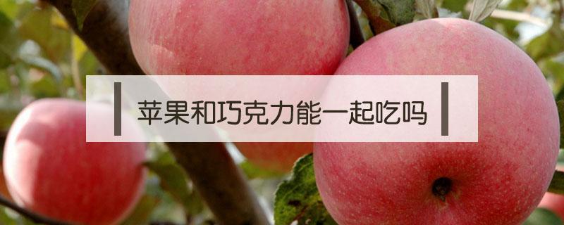 苹果和巧克力能一起吃吗（巧克力能与苹果一起吃吗?）