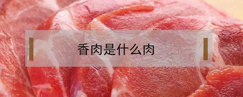 香肉是什么肉（孜然香肉是什么肉）