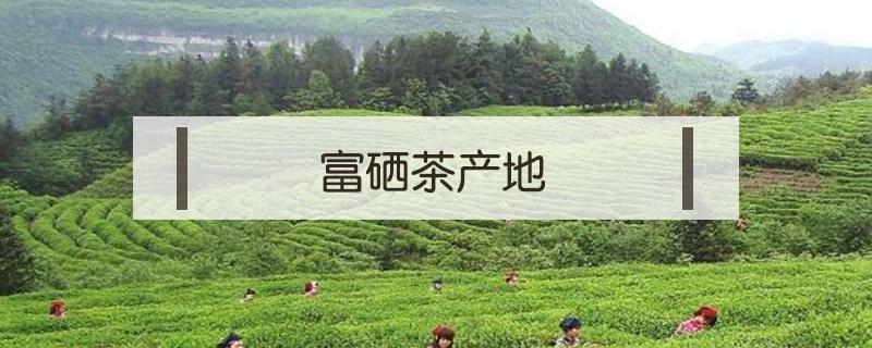 富硒茶产地（贵州富硒茶产地）