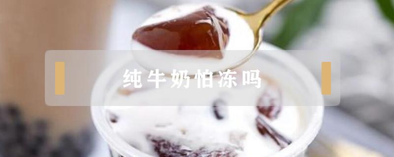 纯牛奶怕冻吗 纯牛奶放外面怕冻吗