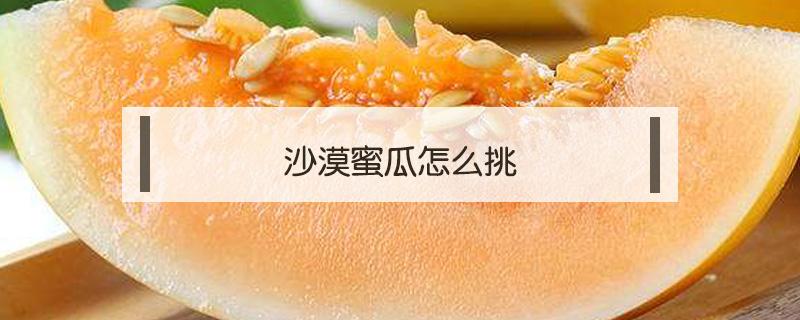 沙漠蜜瓜怎么挑（沙漠蜜瓜好吃吗）