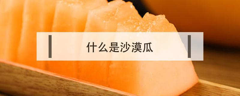 什么是沙漠瓜 沙漠瓜为什么叫沙漠瓜