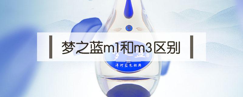 梦之蓝m1和m3区别 梦之蓝的m1,m3什么意思