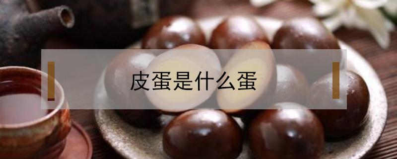 皮蛋是什么蛋（皮蛋是怎么做出来的）