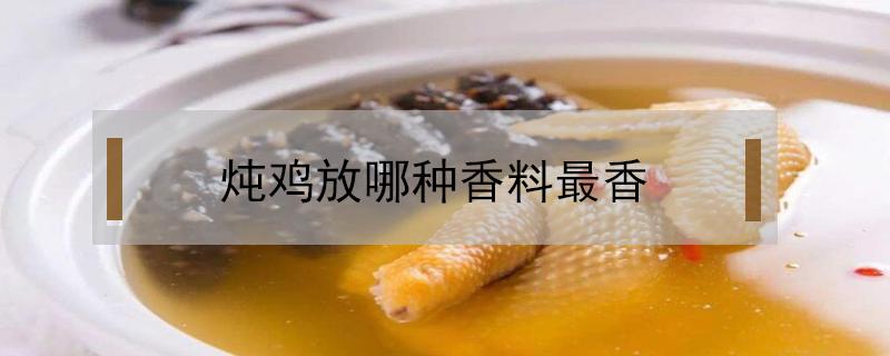 炖鸡放哪种香料最香（炖鸡加什么香料好吃）