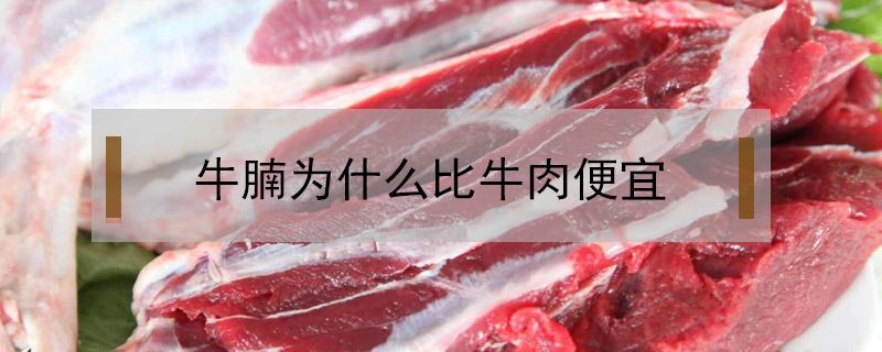 牛腩为什么比牛肉便宜 牛腩肉为什么那么便宜