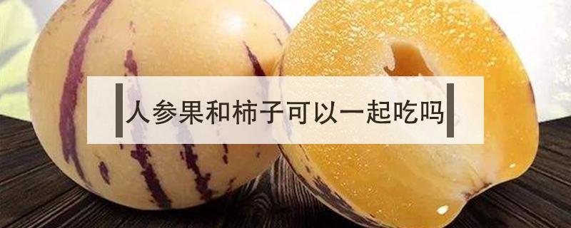人参果和柿子可以一起吃吗 柿子和人参果能不能一起吃