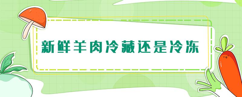 新鲜羊肉冷藏还是冷冻（冷冻的羊肉和新鲜羊肉有没有区别）