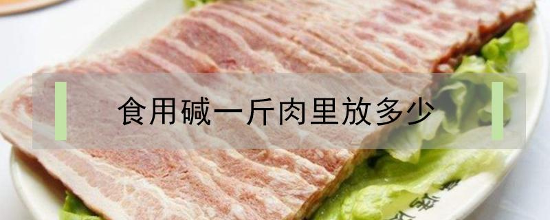 食用碱一斤肉里放多少（一斤牛肉放多少食用碱会嫩）