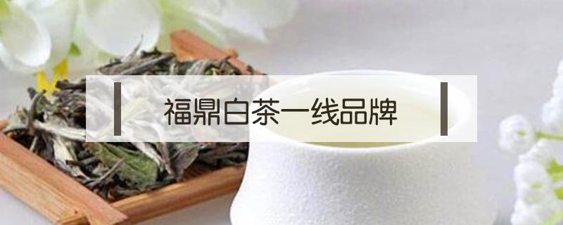 福鼎白茶一线品牌 福鼎白茶第一品牌