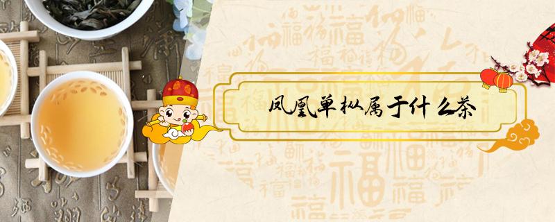 凤凰单枞属于什么茶 鸭屎香凤凰单枞属于什么茶